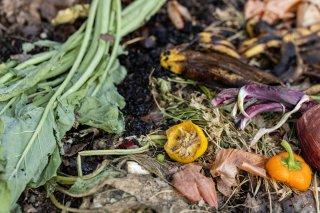 Compost