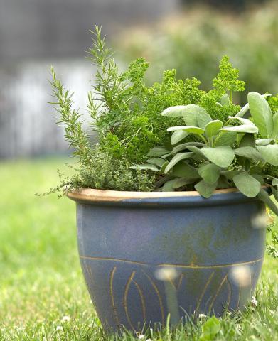 Garden Container 