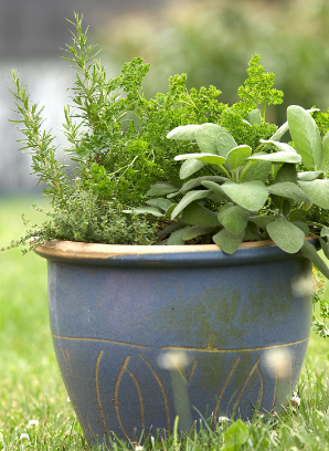 container garden